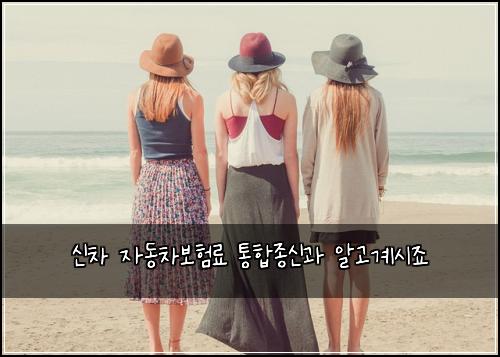 신차 자동차보험료 통합종신과 알고계시죠