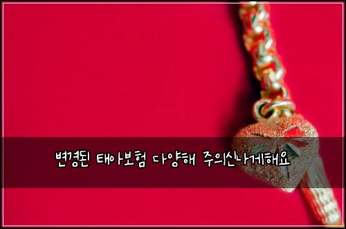 변경된 태아보험 다양해  주의신나게해요