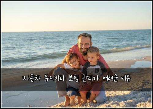 자동차 유지비와 보험 관리가 어려운 이유