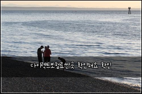 다이렉트보험료싼곳 확인해요 확인