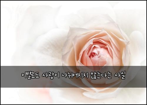 이별로도 사랑이 나뉘어지지 않는다는 사실
