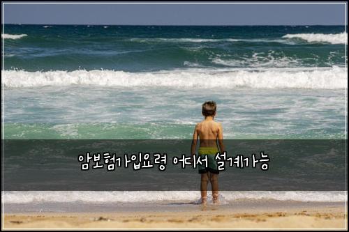 암보험가입요령 어디서 설계가능