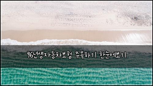 96년생자동차보험 주목하기  한눈에보기