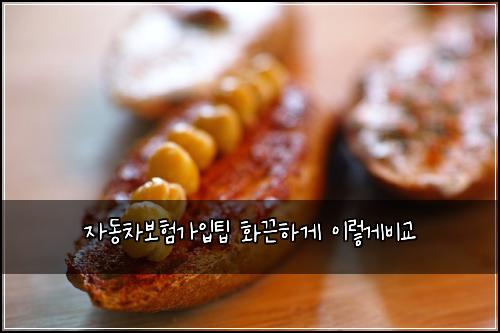 자동차보험가입팁 화끈하게 이렇게비교