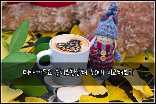 태아꺼두요 실비보험상해 40대 비교해보기