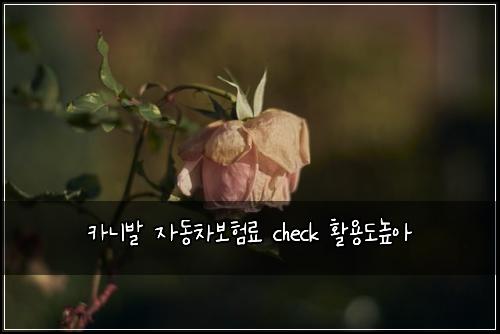 카니발 자동차보험료 check 활용도높아