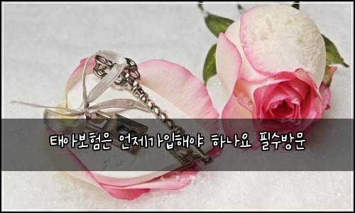태아보험은 언제가입해야 하나요 필수방문