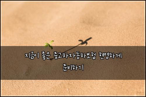 지금이 좋은 중고차자동차보험 현명하게 준비하기