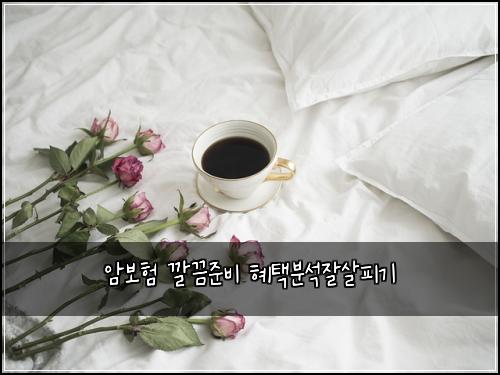 ์๋ณดํ ๊น๋์ค๋น ํํ๋ถ์์์ดํผ๊ธฐ