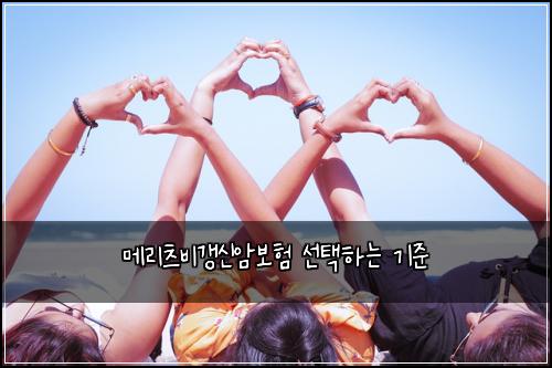 메리츠비갱신암보험 선택하는 기준