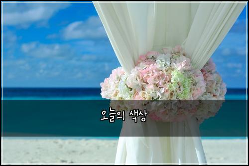 오늘의 색상