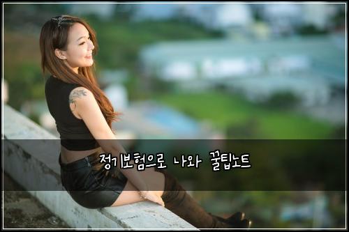 정기보험으로 나와 꿀팁노트