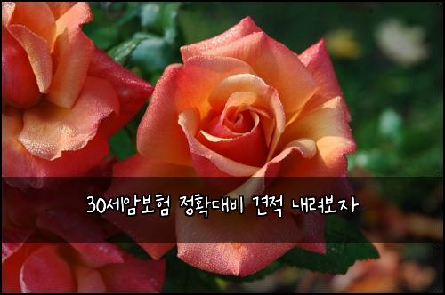 30์ธ์๋ณดํ ์ ํ๋๋น ๊ฒฌ์ ๋ด๋ ค๋ณด์