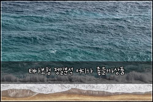 태아보험 정밀분석  어디가 좋을까상품
