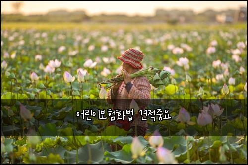 어린이보험화법 견적중요