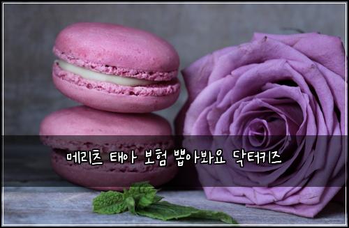 메리츠 태아 보험 뽑아봐요  닥터키즈