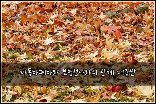 자동차폐차와 보험검사와의 관계 제일싼