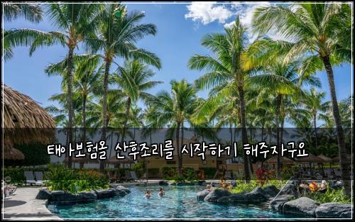 태아보험올 산후조리를 시작하기 해주자구요