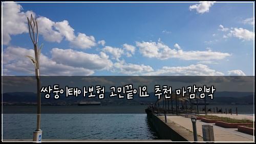 μλ₯μ΄νμ보ν κ³ λ―Όλμ΄μ μΆμ² λ§κ°μλ°