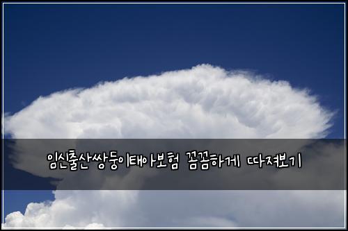 임신출산쌍둥이태아보험 꼼꼼하게 따져보기