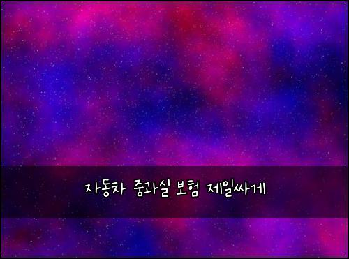 자동차 중과실 보험 제일싸게 