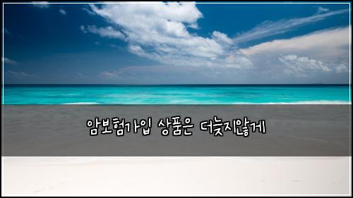 암보험가입 상품은 더늦지않게
