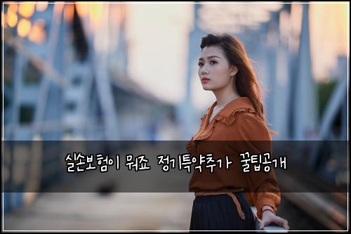 실손보험이 뭐죠 정기특약추가 꿀팁공개