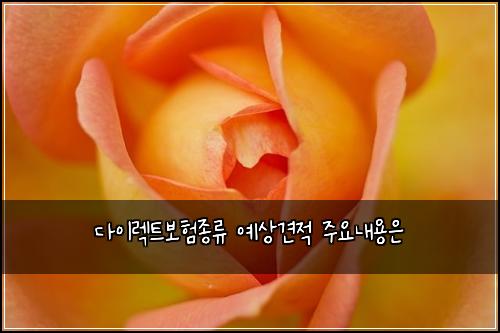 ๋ค์ด๋ ํธ๋ณดํ์ข
๋ฅ ์์๊ฒฌ์ ์ฃผ์๋ด์ฉ์