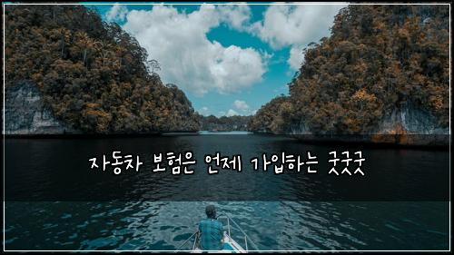 자동차 보험은 언제 가입하는 굿굿굿