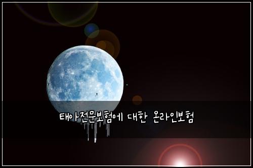 태아전문보험에 대한 온라인보험