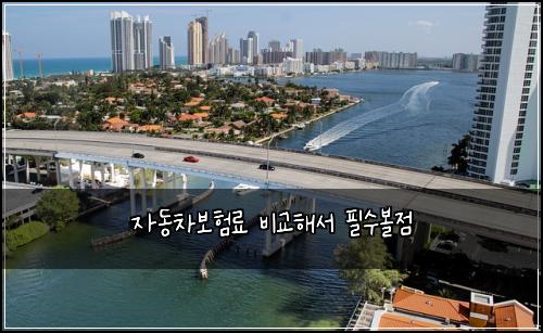 자동차보험료 비교해서 필수볼점