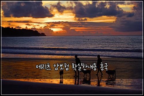 메리츠 암보험 확실한내용  흥국