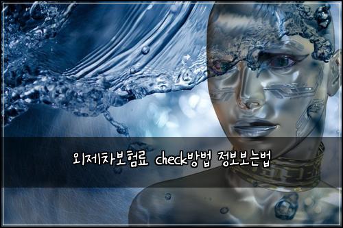 외제차보험료 check방법 정보보는법