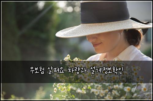 ๋ฌด๋ณดํ ์ดํด์ ์ฐจ๋๊ณผ ์ค๊ณ์ ๋ณดํ์ธ