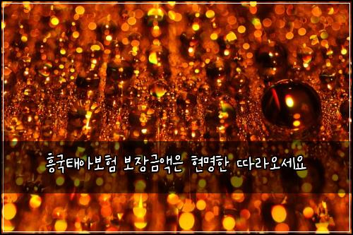 흥국태아보험 보장금액은  현명한 따라오세요