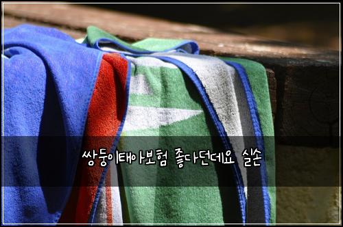 쌍둥이태아보험 좋다던데요  실손