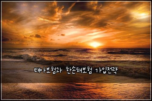 태아보험과 한손해보험 가입전략