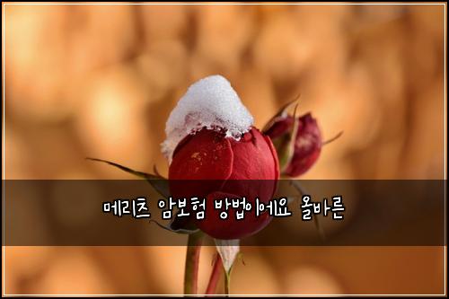 메리츠 암보험 방법이에요  올바른