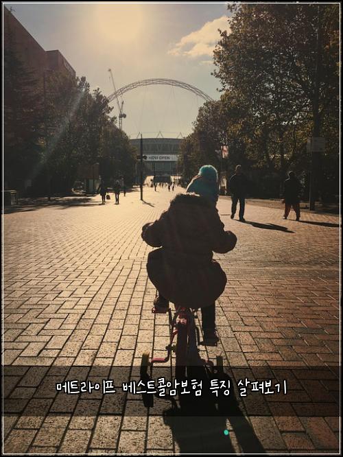 메트라이프 베스트콜암보험 특징 살펴보기
