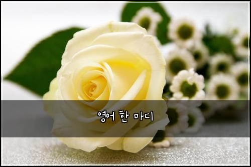 영어 한 마디