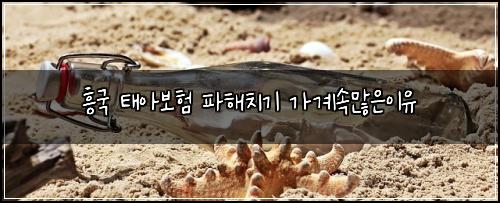 흥국 태아보험 파해치기  가계속많은이유