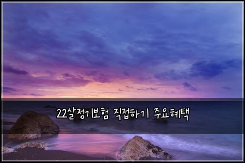 22살정기보험 직접하기  주요혜택