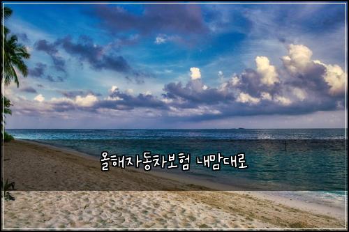 올해자동차보험 내맘대로 