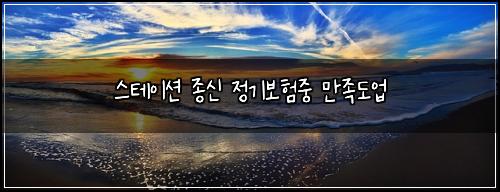 스테이션 종신 정기보험중 만족도업