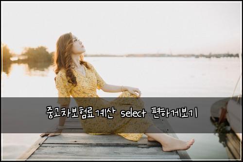 중고차보험료계산 select 편하게보기