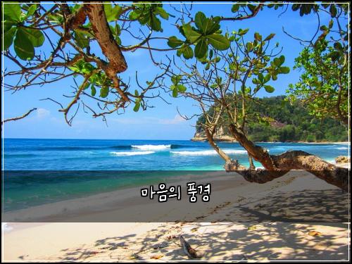 마음의 풍경