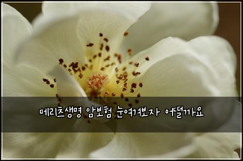 메리츠생명 암보험 눈여겨보자  어떨까요