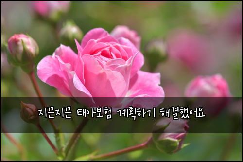 ์ง๋์ง๋ ํ์๋ณดํ ๊ณํํ๊ธฐ ํด๊ฒฐํ์ด์
