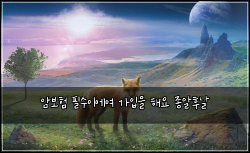 암보험 필수이에여  가입을 해요 종알후날