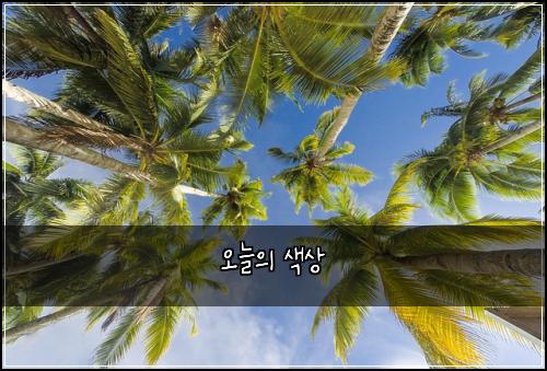 오늘의 색상